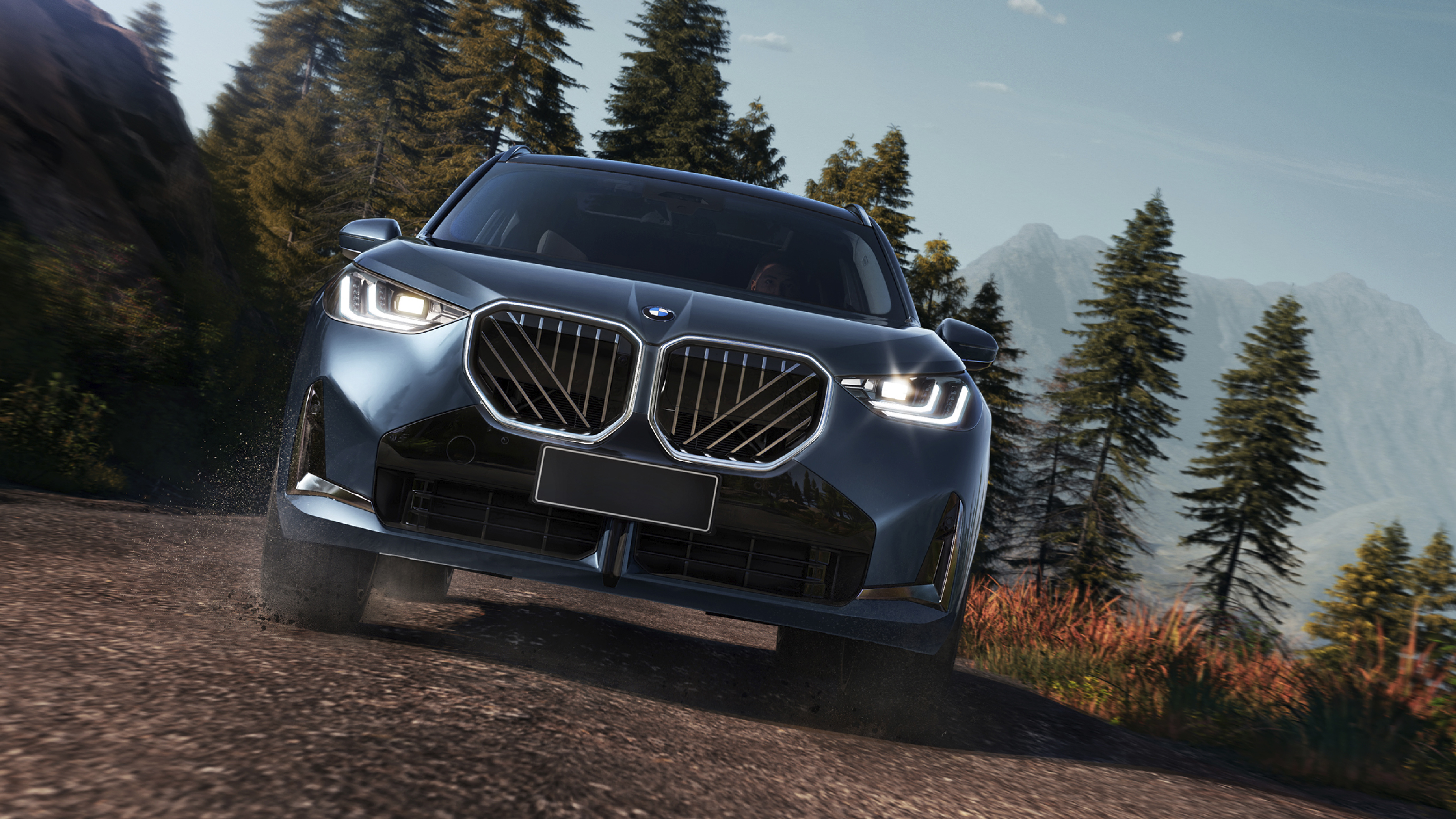 BMW - Benigar